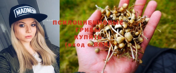 мяу мяу кристалл Белокуриха